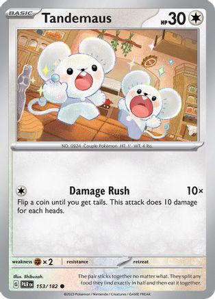 Tandemaus 153/182 SV04 Paradox Rift - Common