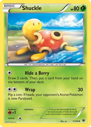 Shuckle 001  XY  Fates Collide - Uncommon