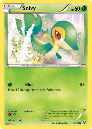 Snivy 005  XY  Fates Collide - Common