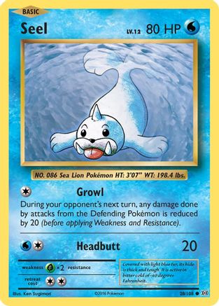 Seel 028  XY  Evolutions - Common