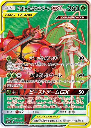 Pheromosa & Buzzwole - 055/054 (055/054) - SM9b Full Metal Wall Holofoil