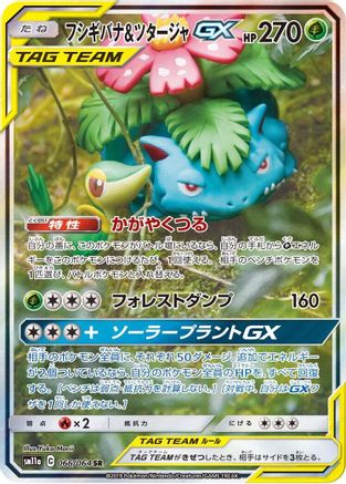 Venusaur & Snivy GX - 066/064 (066/064) - SM11a Remix Bout Holofoil
