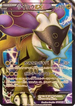 Raikou EX - 071/069 (071/069) - BW4 Dark Rush Unlimited Holofoil