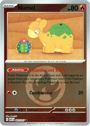 Numel 027/217  - Reverse Holofoil ME Ascended Heroes - Common