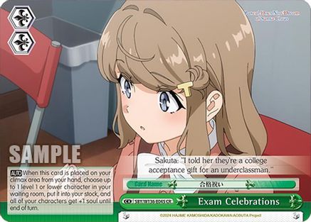 Exam Celebrations (SBY/W136-E045) - Rascal Does Not Dream of Santa Claus