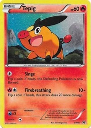 Tepig BW07  - Holofoil Black and White Promos - Promo