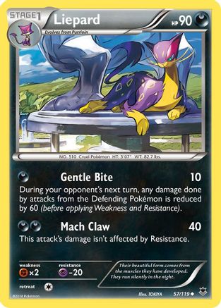 Liepard  XY  Phantom Forces - Uncommon