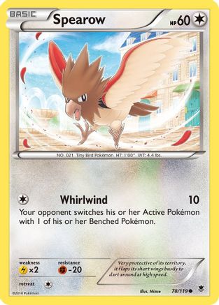 Spearow  XY  Phantom Forces - Common