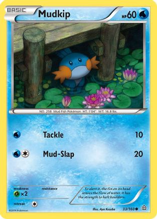 Mudkip 033  XY  Primal Clash - Common
