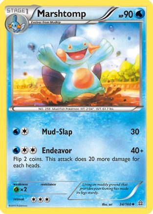 Marshtomp 034  - Reverse Holofoil XY  Primal Clash - Uncommon