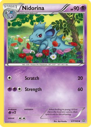 Nidorina 067  XY  Primal Clash - Uncommon