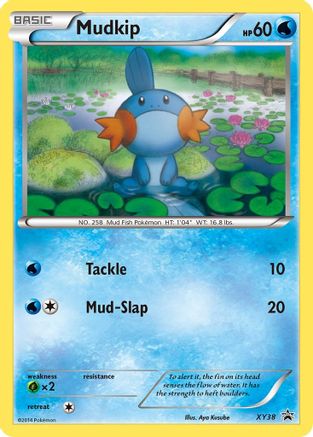 Mudkip - XY38  - Holofoil XY Promos - Promo