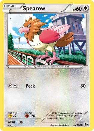 Spearow 065/108  - Reverse Holofoil XY  Roaring Skies - Common