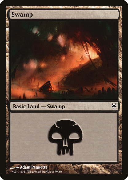 Swamp (79) [Duel Decks: Sorin vs. Tibalt]