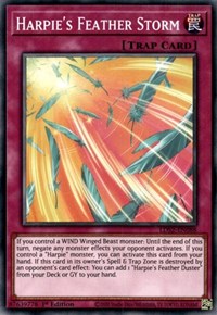 Harpie's Feather Storm [LDS2-EN088] Common